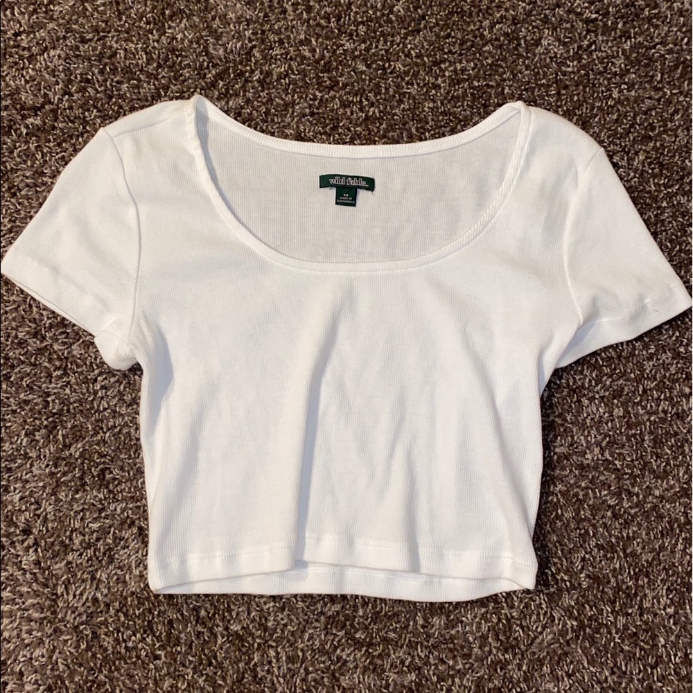 Wild Fable Crop top